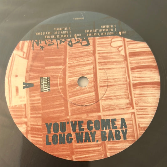 FAT BOY SLIM - you’ve come a long way, baby