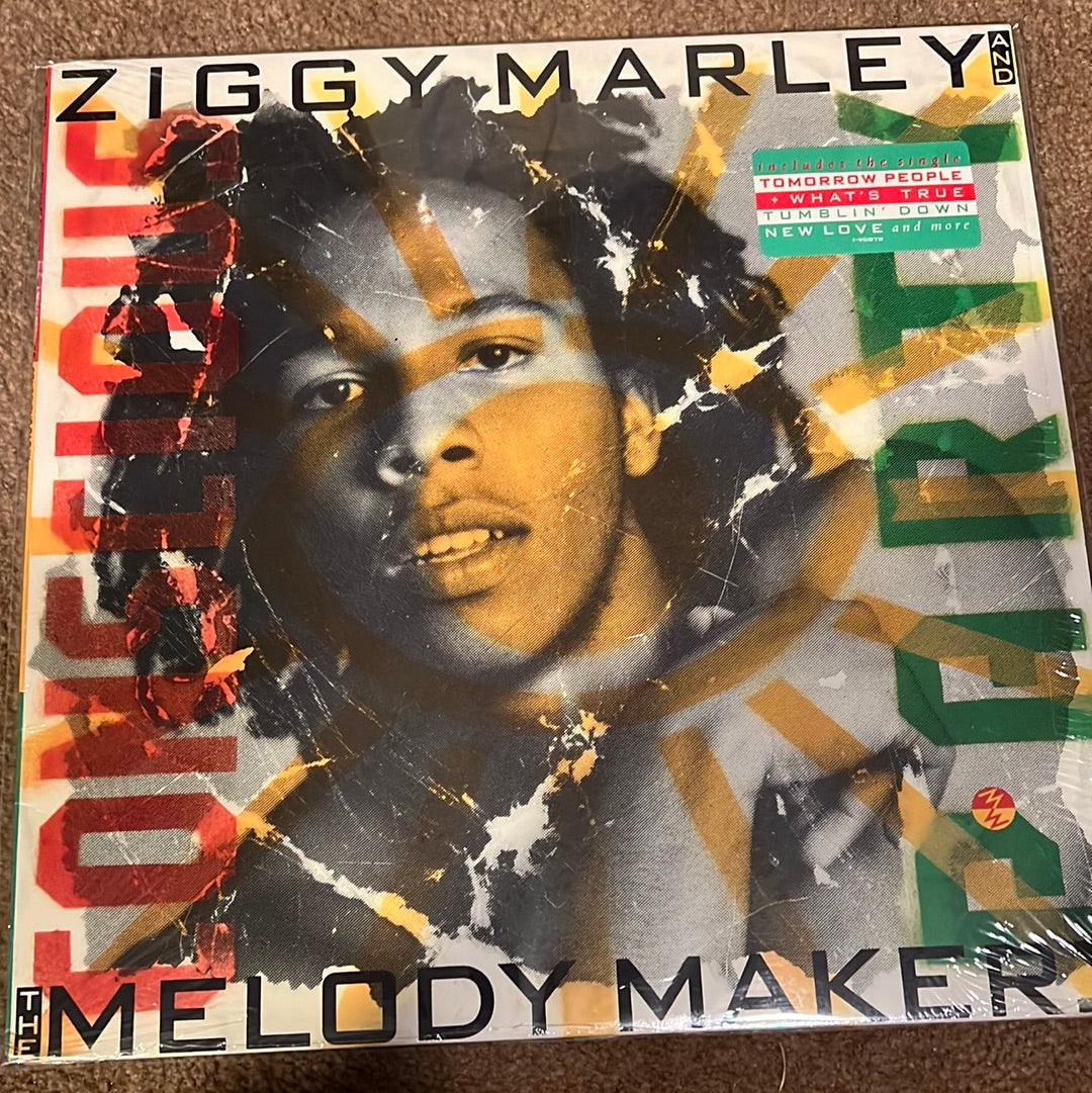ZIGGY MARLEY - conscious party