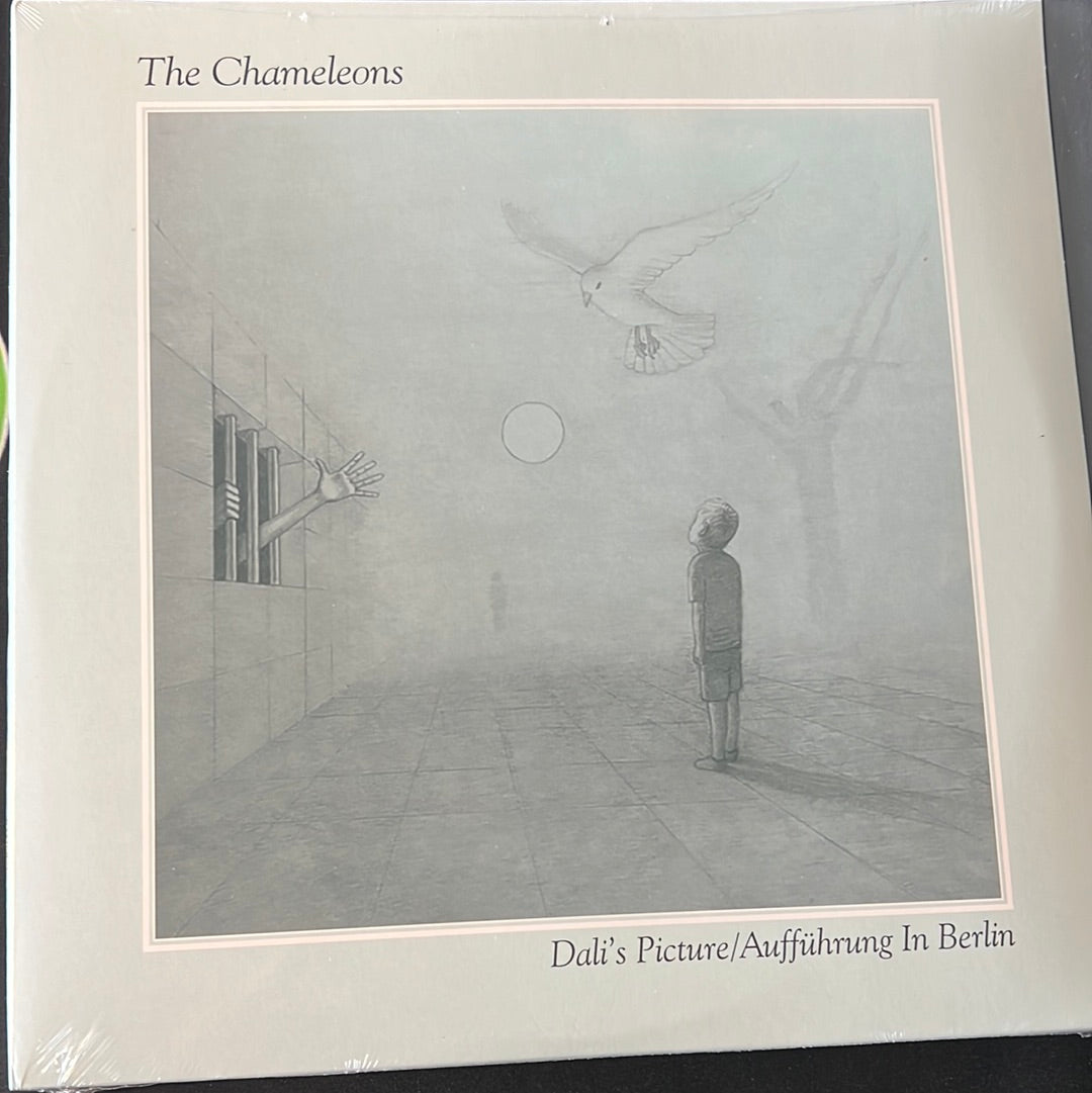 THE CHAMELEONS - Dali’s Picture/Aufführung in Berlin