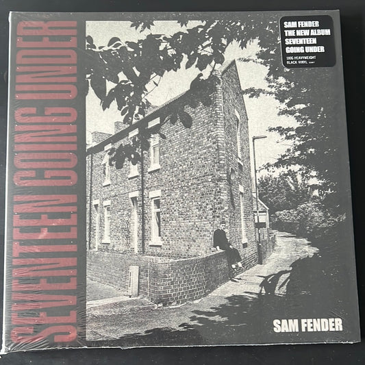 SAM FENDER - seventeen going under