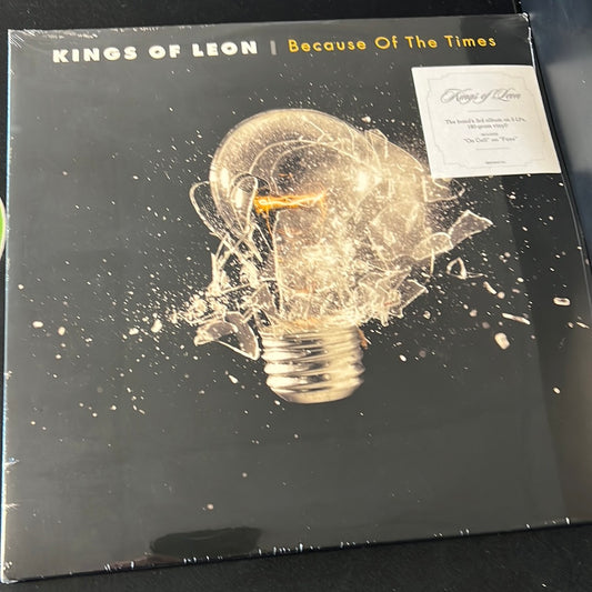 KINGS OF LEON - because of the times
