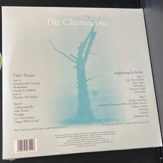 THE CHAMELEONS - Dali’s Picture/Aufführung in Berlin