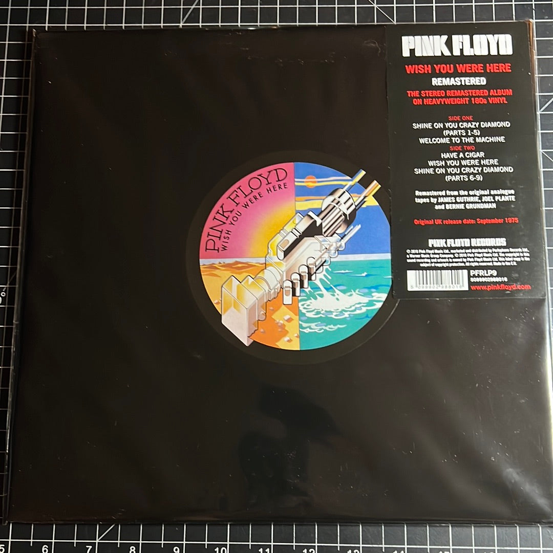 PINK FLOYD “wish you were here”