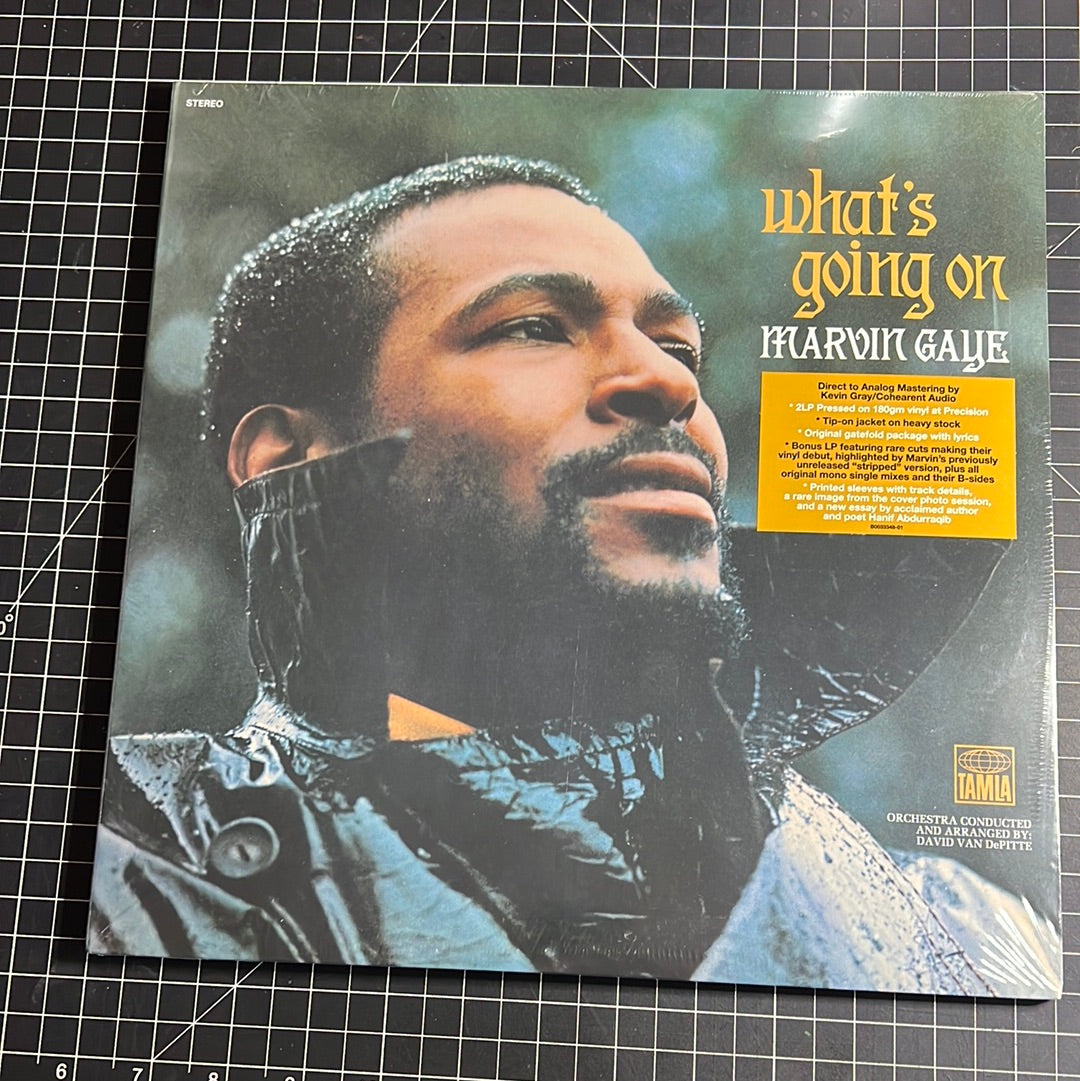 MARVIN GAYE “what’s going on”