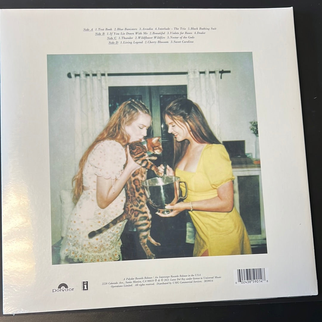 LANA DEL REY - blue banisters