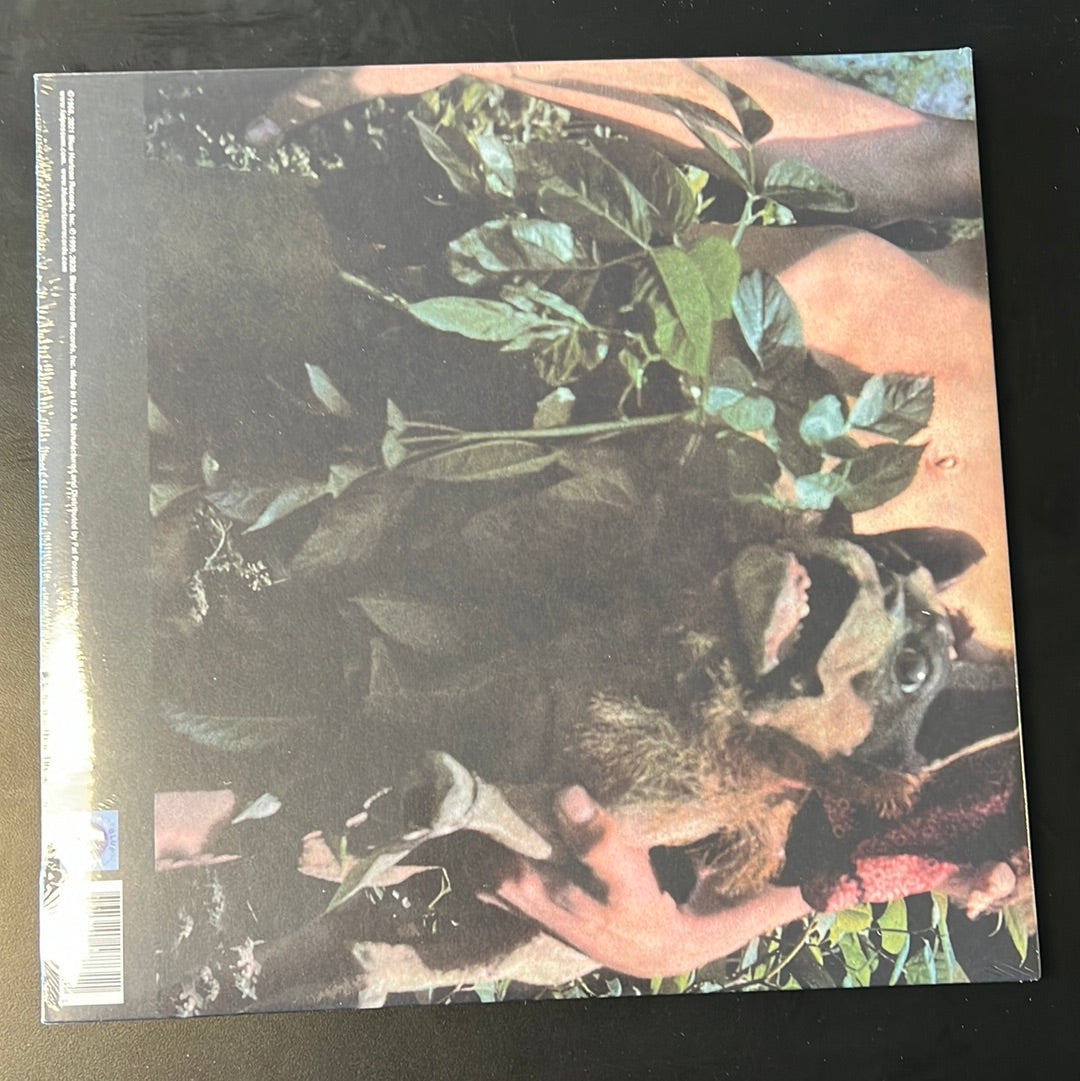 FLEETWOOD MAC - Mr. Wonderful
