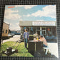 MGMT “mgmt”