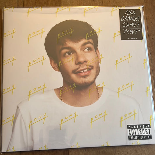 REX ORANGE COUNTY - pony