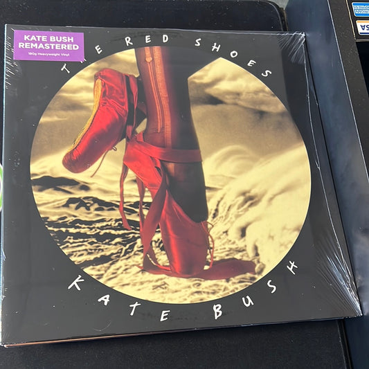 KATE BUSH - the red shoes