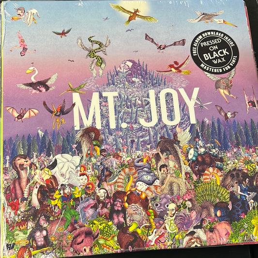 MT. JOY - rearrange us
