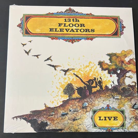 13th FLOOR ELEVATORS - Live