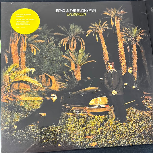 ECHO & THE BUNNYMEN - evergreen