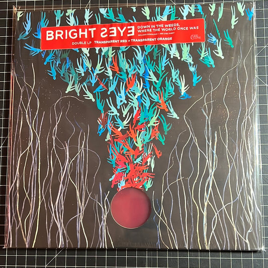 BRIGHT EYES “down in the weeds where the world once was”