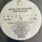 JOHN LEE HOOKER - the healer