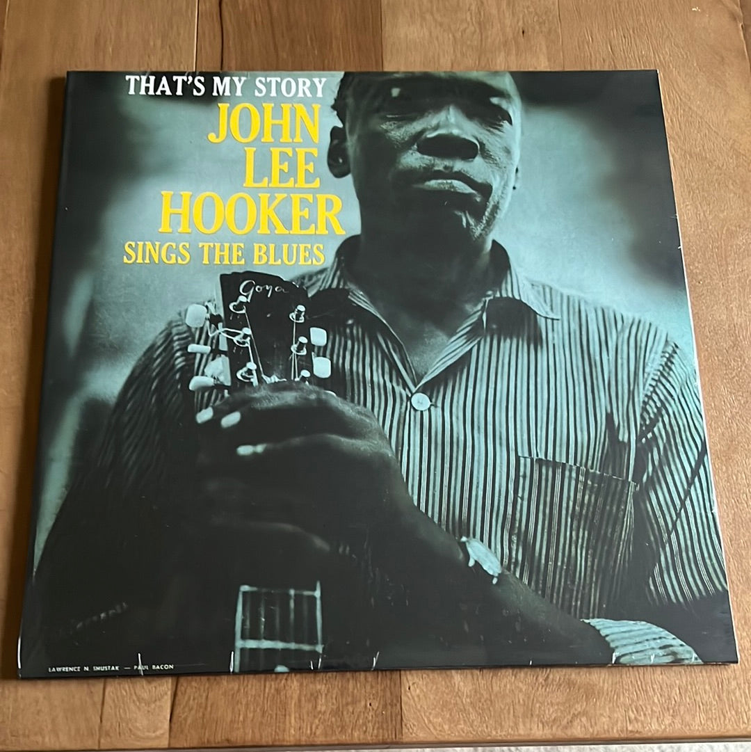JOHN LEE HOOKER - sings the blues