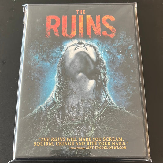 THE RUINS