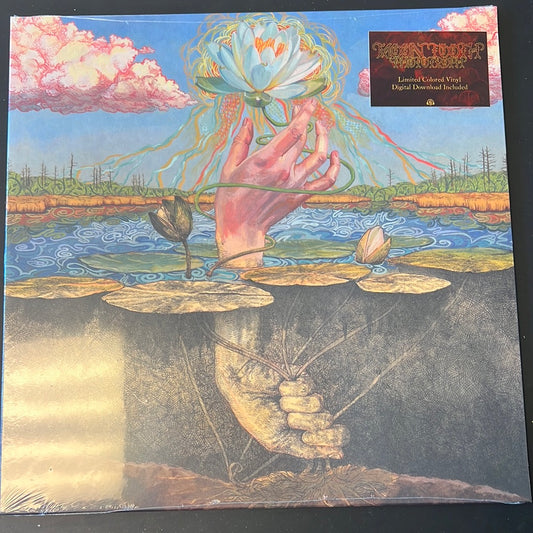 MOON TOOTH - phototroph