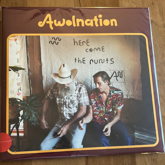 AWOLNATION - here comes the runts