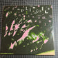 THE PLIMSOULS “everywhere at once”