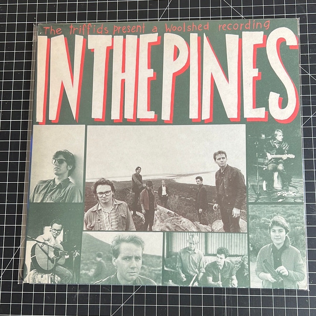 THE TRIFFIDS “in the pines”