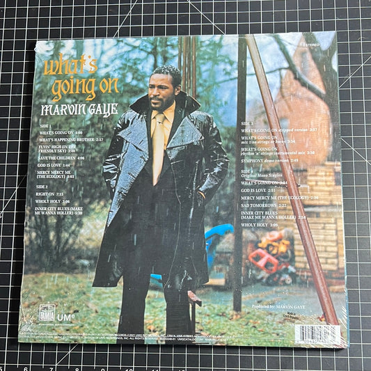 MARVIN GAYE “what’s going on”
