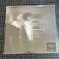 THE RAVEONETTES “observator”