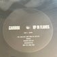 CARIBOU - up in flames