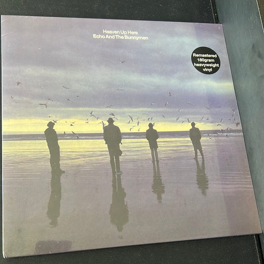 ECHO AND THE BUNNYMEN - heavens up here