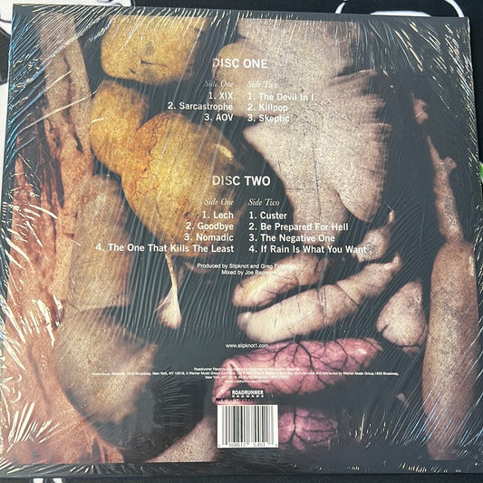 SLIPKNOT - 5: the grey chapter