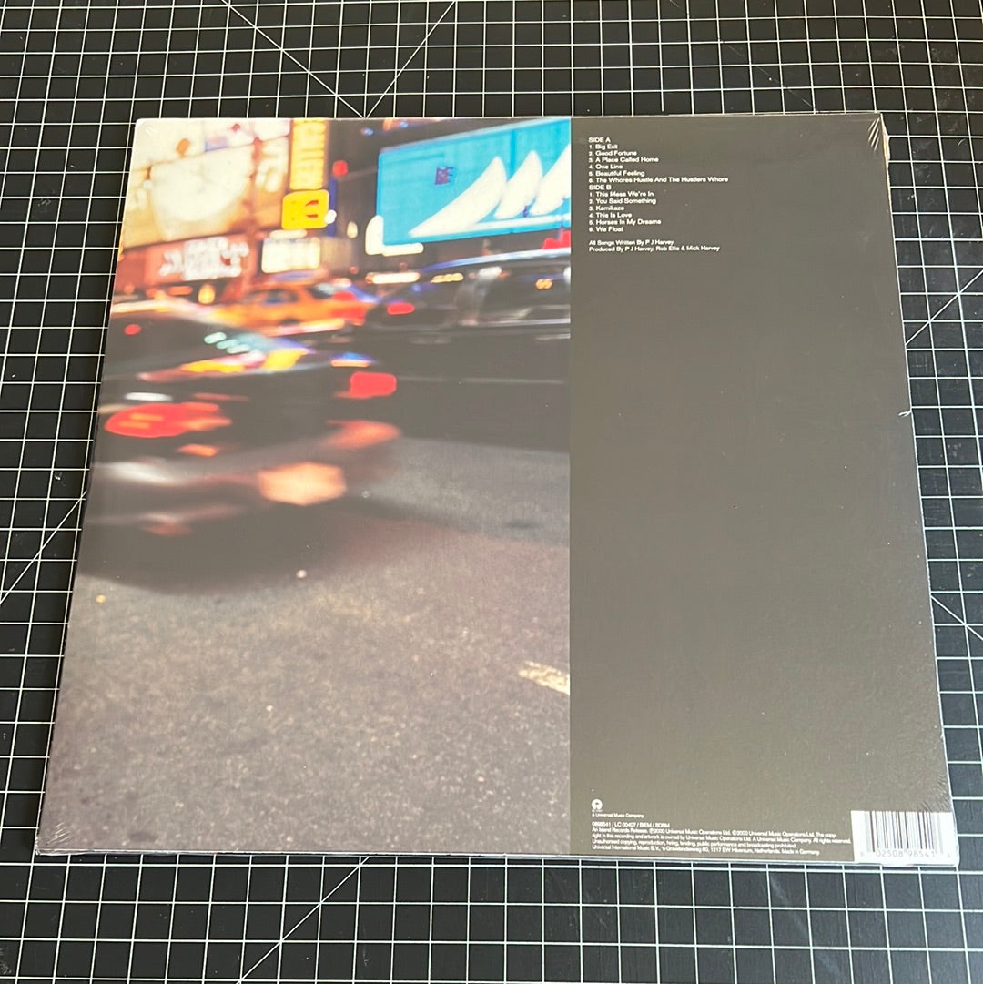 PJ HARVEY - stories from the city, stories from the sea