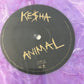 KESHA - animal