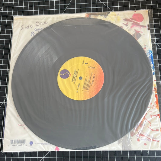 THROWING MUSES “the fat skier”