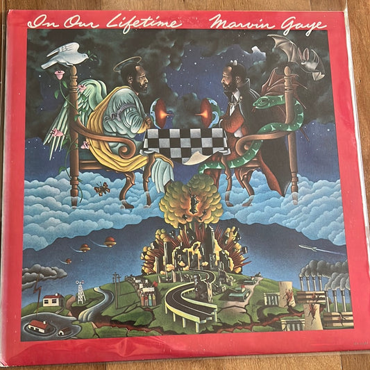 MARVIN GAYE - in our lifetime
