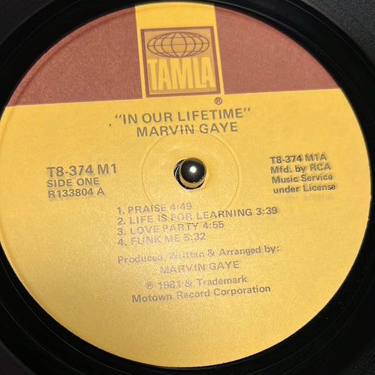 MARVIN GAYE - in our lifetime