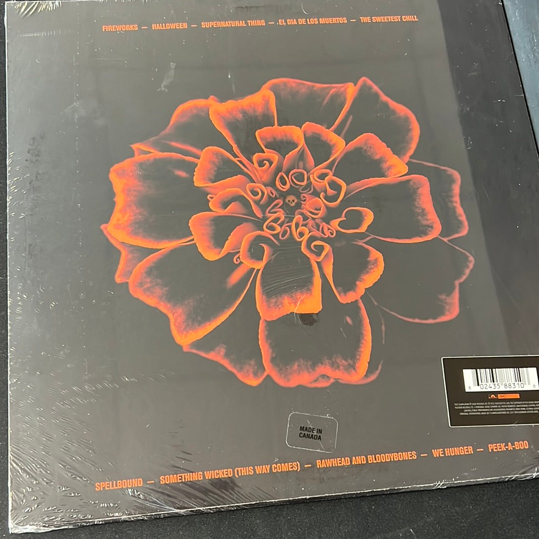 SIOUXSIE AND THE BANSHEES - all souls