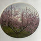WASHED OUT “within and without”