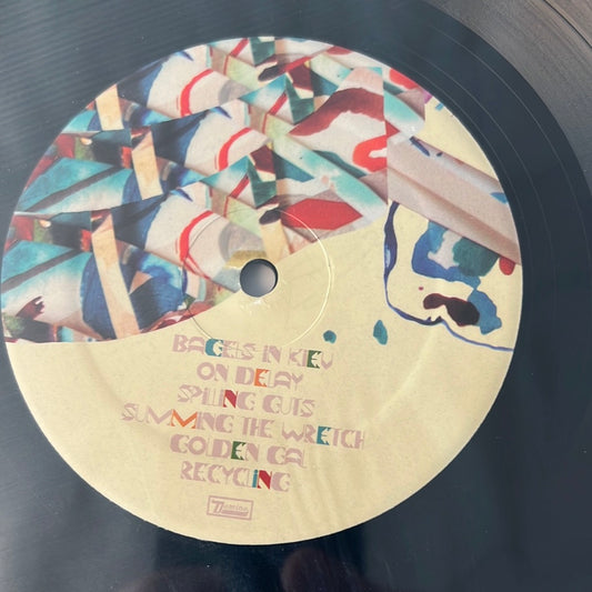 ANIMAL COLLECTIVE - painting with