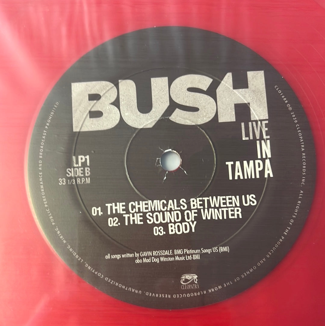 BUSH - live in Tampa
