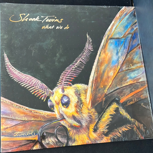 SHOOK TWINS - what we do