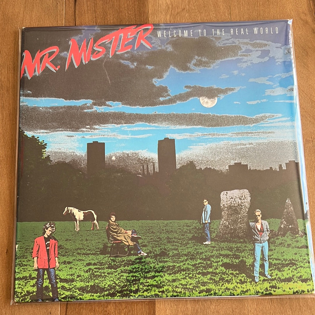 MR. MISTER - welcome to the real world
