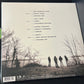 KINGS OF LEON - youth & young manhood