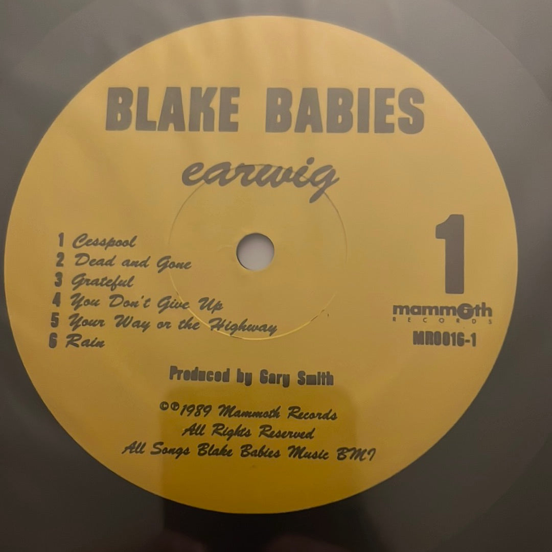 BLAKE BABIES - earwig