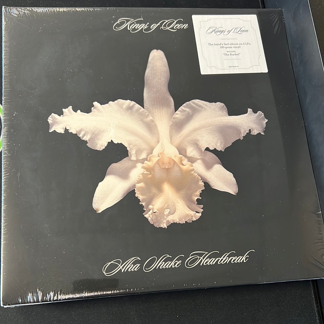 KINGS OF LEON - aha shake heartbreak