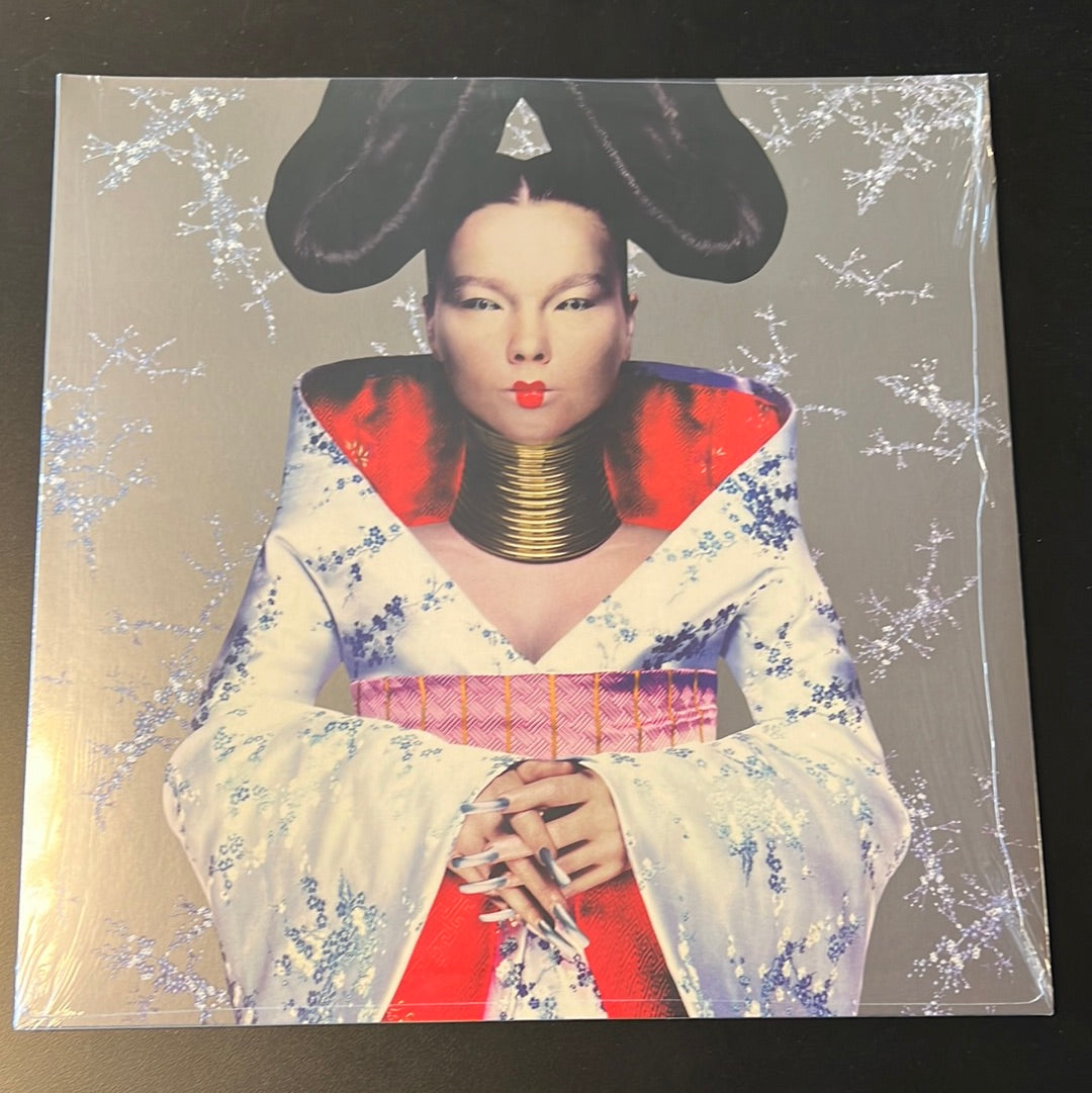 BJORK - homogenic